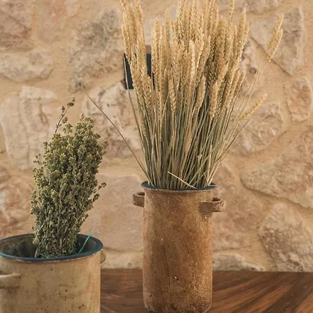 Adrias Kefalonia Βίλα Ζόλα