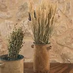 Adrias Kefalonia 别墅 Zóla